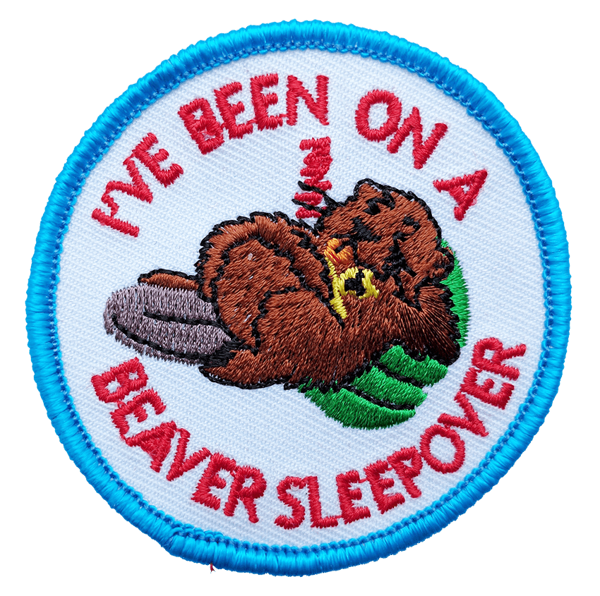 beaversleepover
